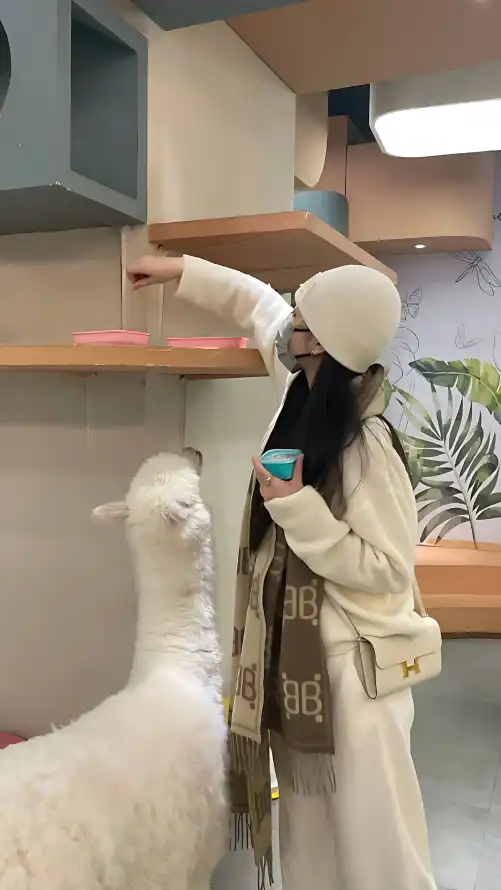 亚洲高清无码在线观看_直播平台_gogo全球专业大尺度高清人体